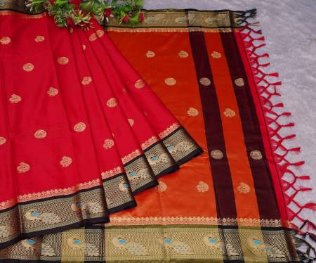 Badi Morni-001 By Dhruvi Designer Hub Silk Pathani Saree Catalog